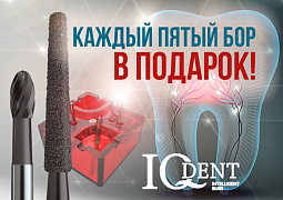 Каждый пятый бор QDent в подарок!